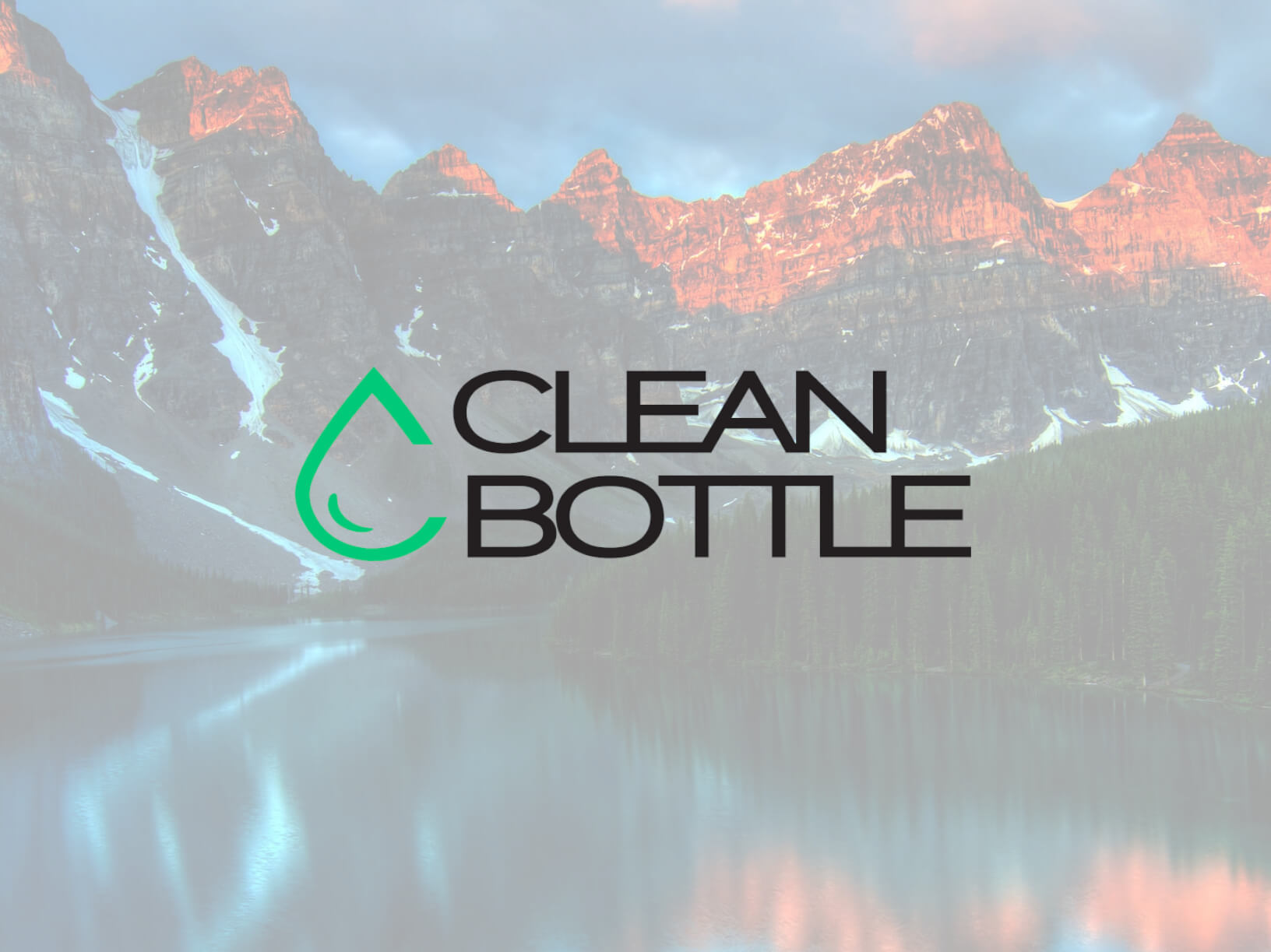 The Cleaner World Campaign